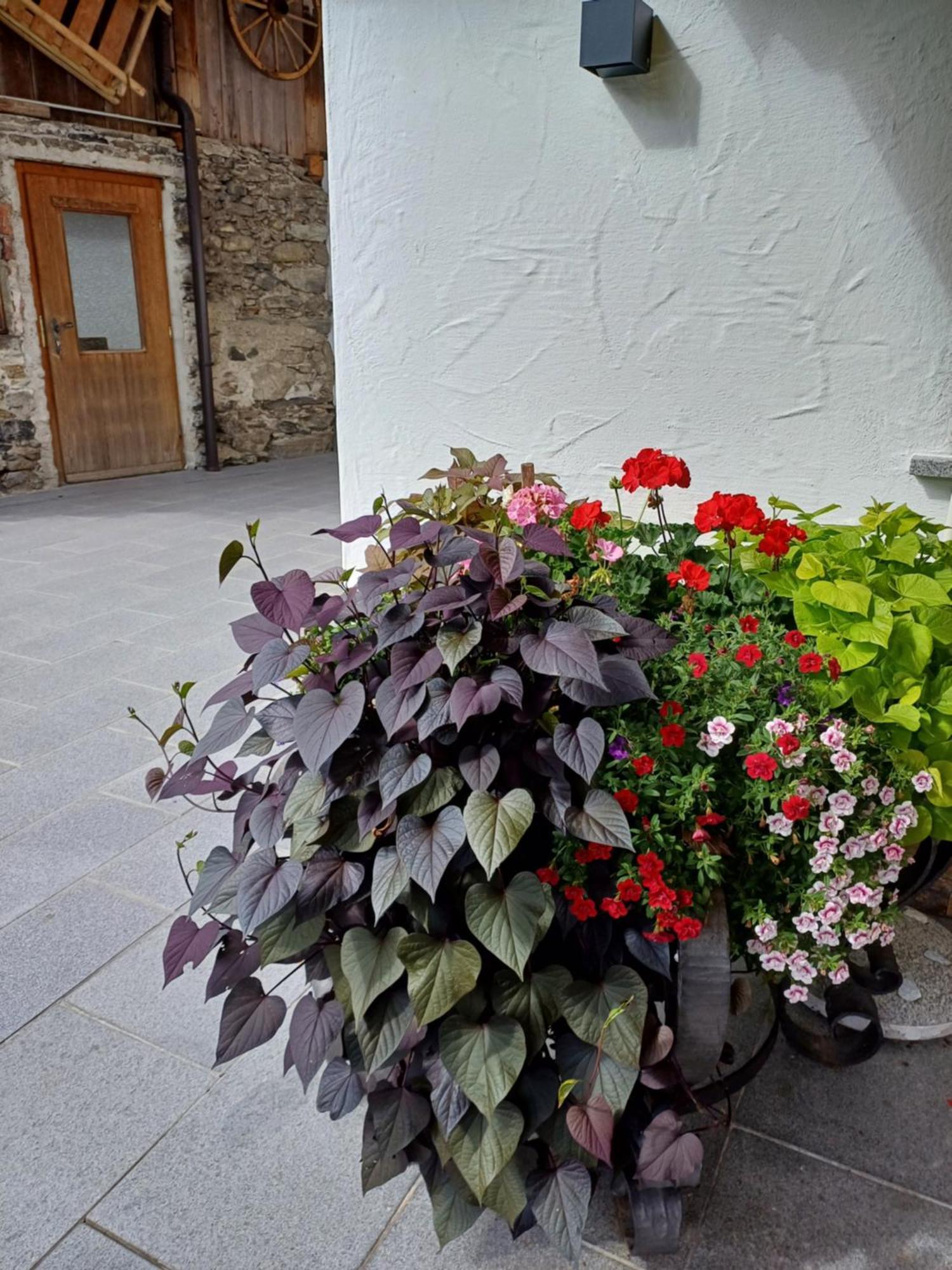 Landhaus Eberler Apartment Mayrhofen Exterior photo