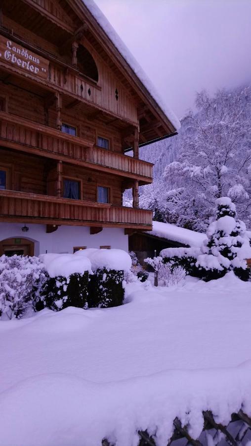 Landhaus Eberler Apartment Mayrhofen Exterior photo